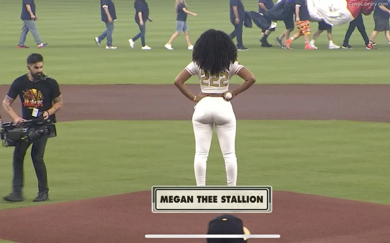 Megan Thee Stallion photo 5 of 1985