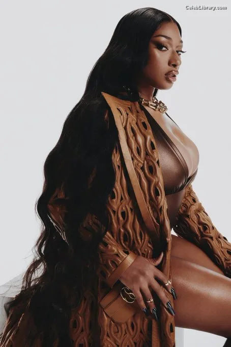 Megan Thee Stallion photo 15 of 1985