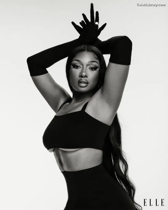 Megan Thee Stallion photo 16 of 1985