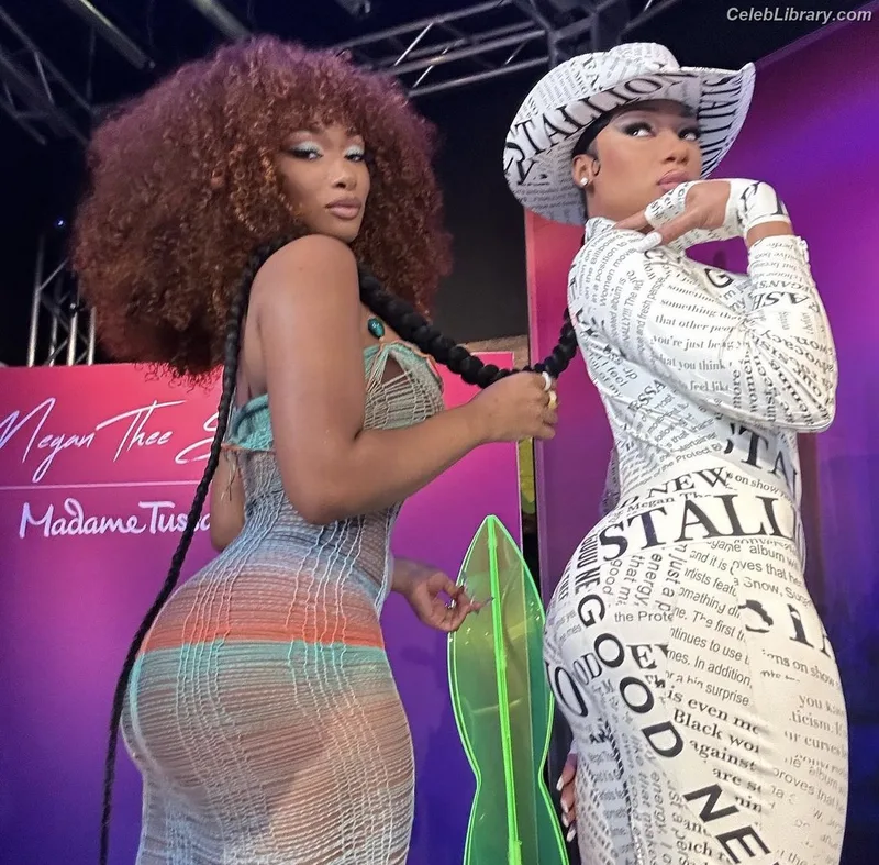 Megan Thee Stallion photo 22 of 1985