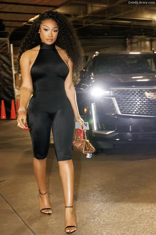Megan Thee Stallion photo 8 of 1985