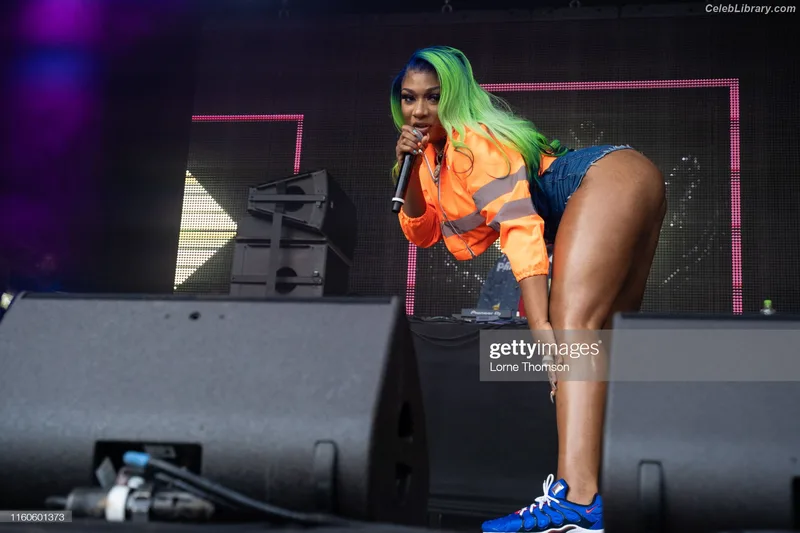 Megan Thee Stallion photo 18 of 1985