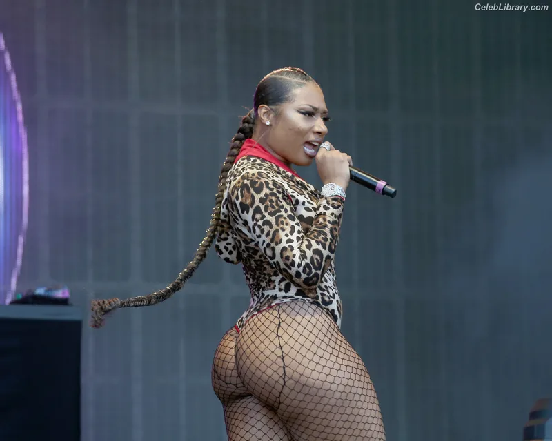 Megan Thee Stallion photo 24 of 1985
