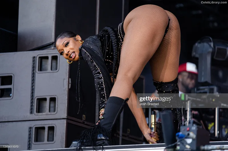 Megan Thee Stallion photo 6 of 1985