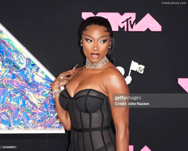 Megan Thee Stallion photo 18 of 1985