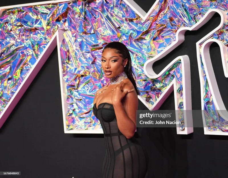 Megan Thee Stallion photo 22 of 1985