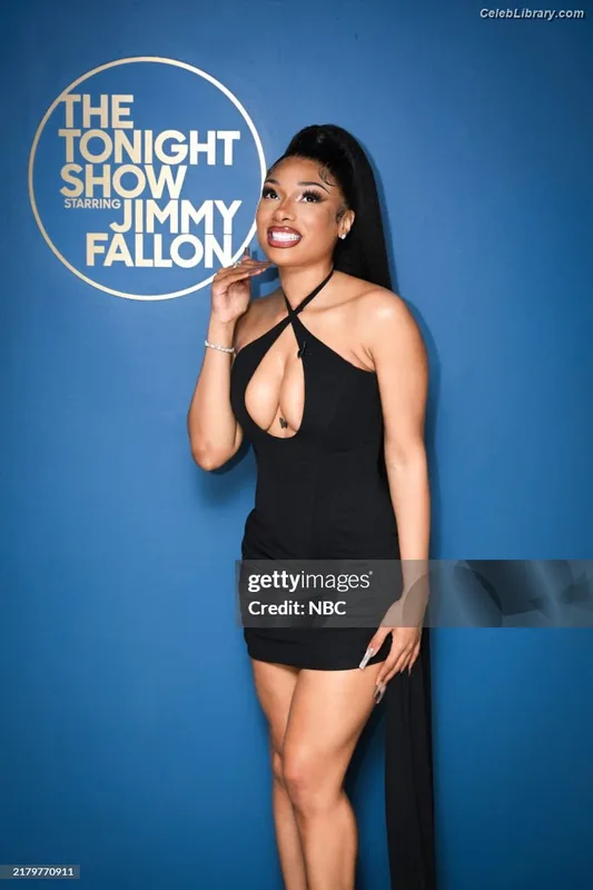 Megan Thee Stallion photo 9 of 1985