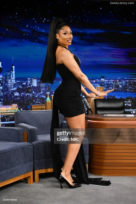 Megan Thee Stallion photo 10 of 1985
