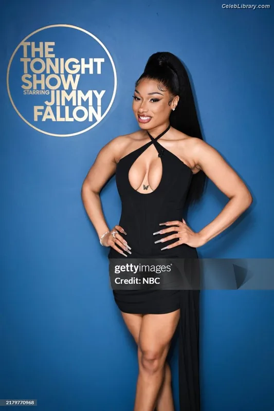 Megan Thee Stallion photo 11 of 1985