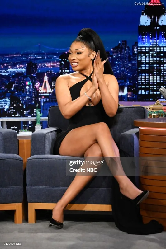 Megan Thee Stallion photo 12 of 1985