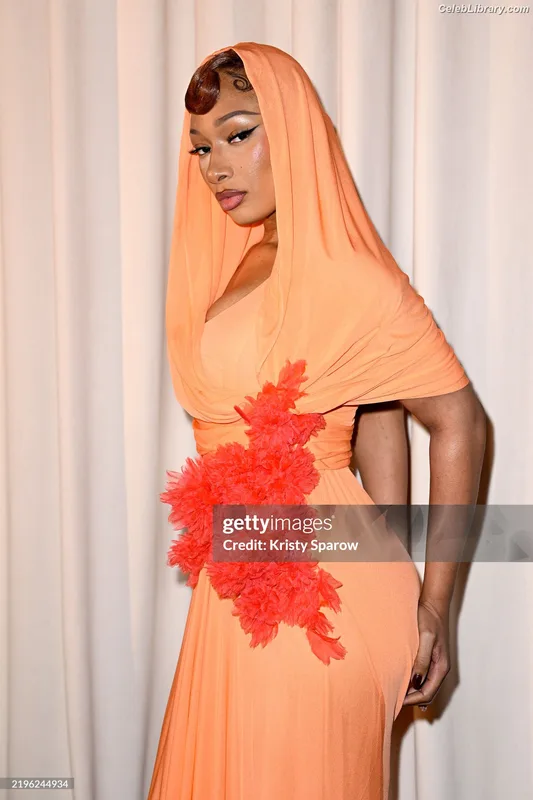 Megan Thee Stallion photo 14 of 1985