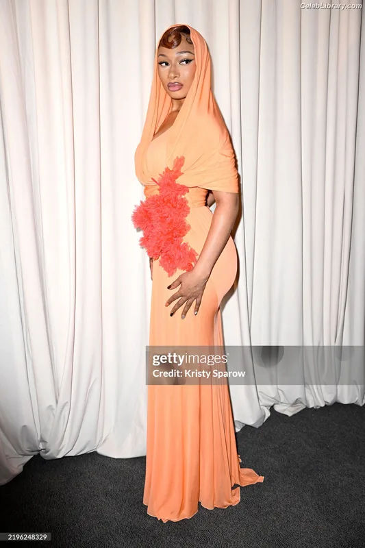 Megan Thee Stallion photo 17 of 1985
