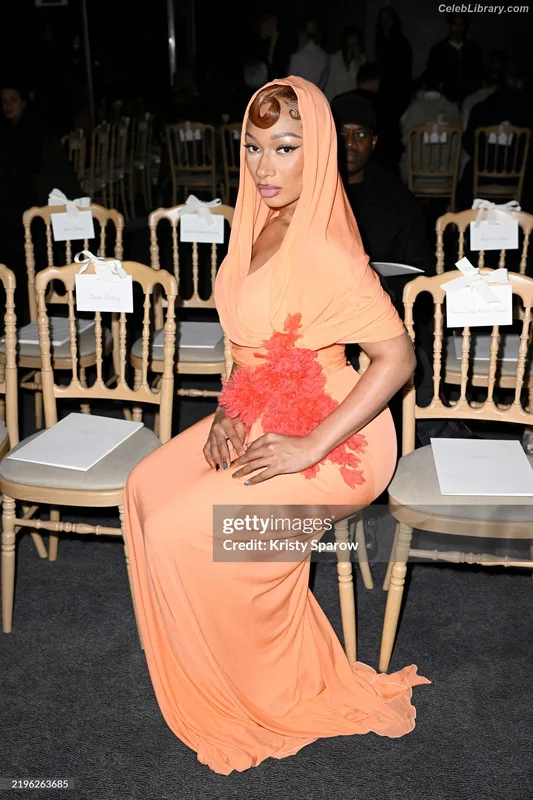 Megan Thee Stallion photo 21 of 1985
