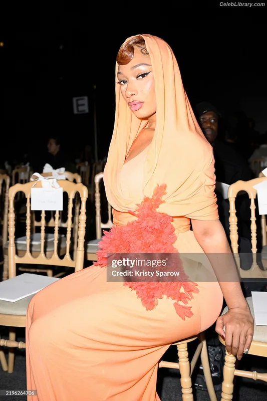 Megan Thee Stallion photo 23 of 1985