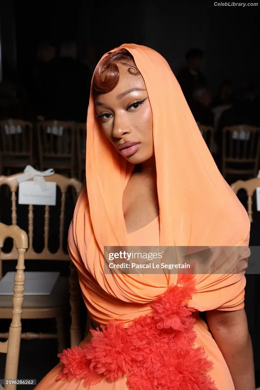 Megan Thee Stallion photo 1 of 1985
