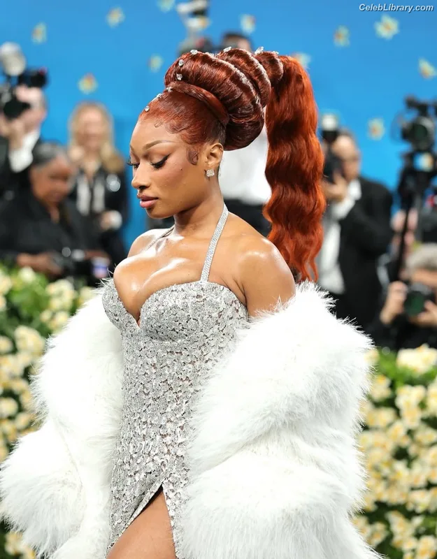 Megan Thee Stallion photo 1 of 1985