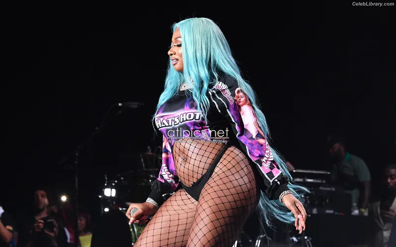 Megan Thee Stallion photo 6 of 1985
