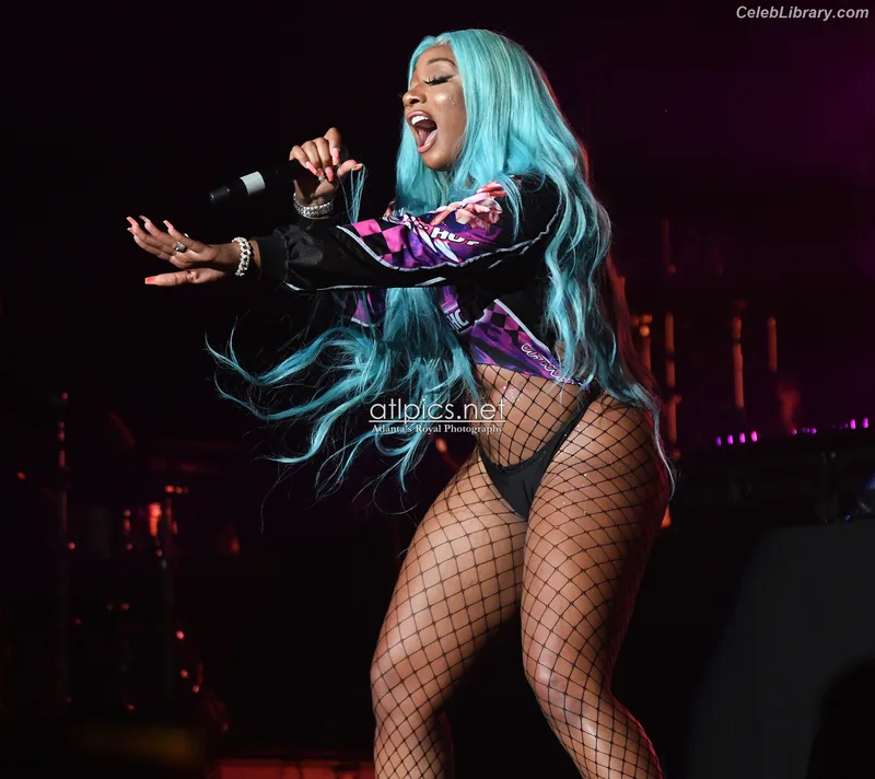 Megan Thee Stallion photo 7 of 1985