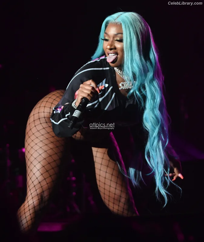Megan Thee Stallion photo 17 of 1985