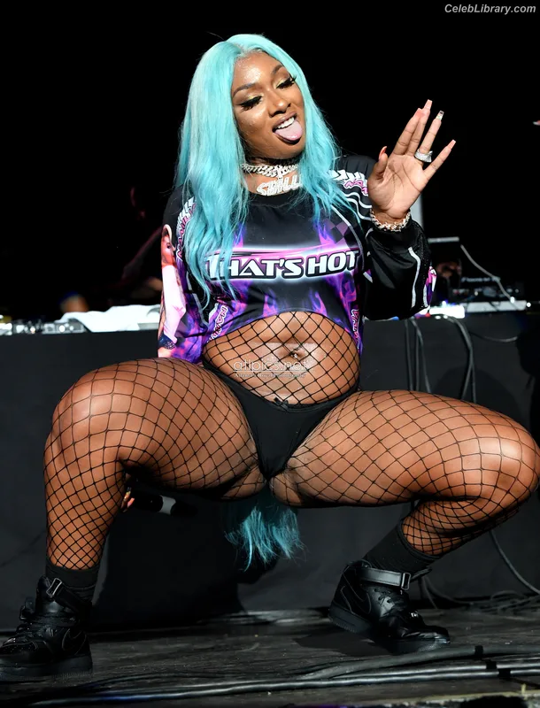Megan Thee Stallion photo 22 of 1985