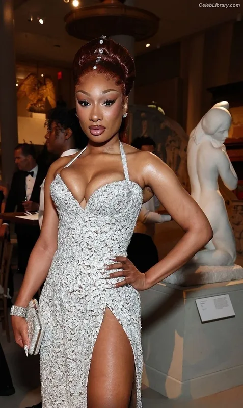 Megan Thee Stallion photo 1 of 1985