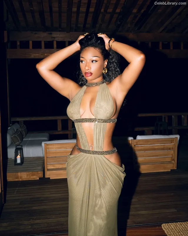 Megan Thee Stallion photo 4 of 1985