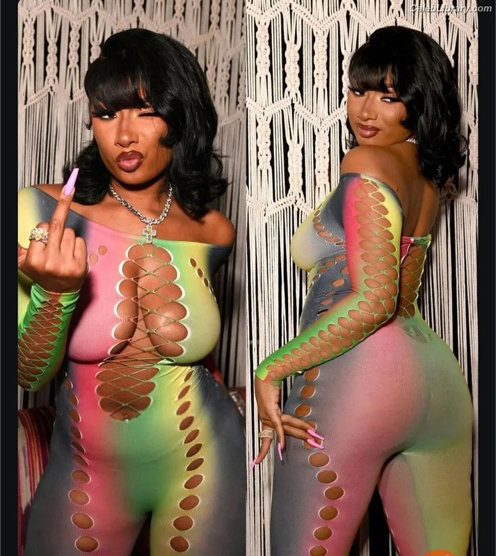 Megan Thee Stallion photo 13 of 1985