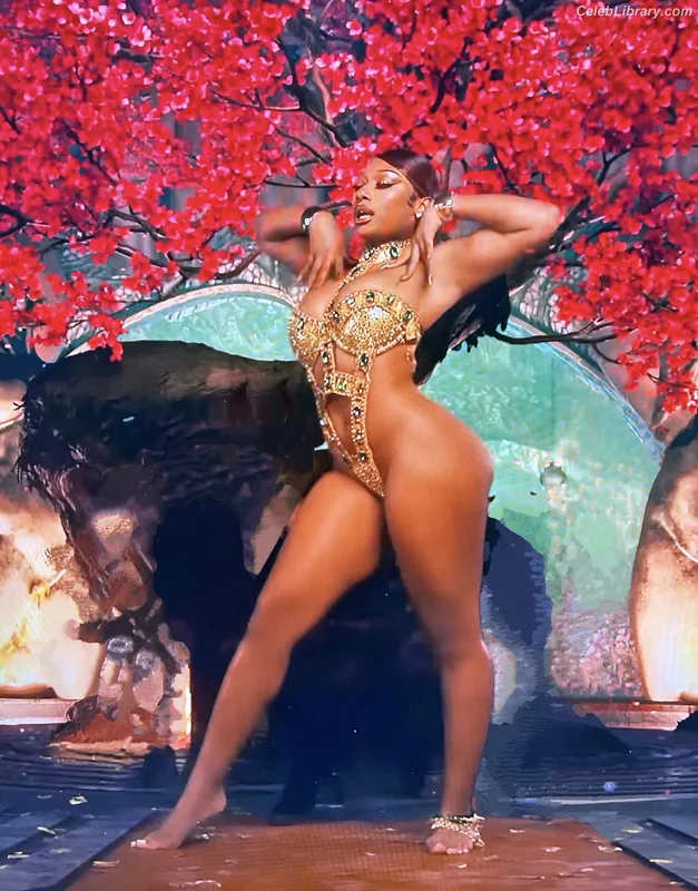 Megan Thee Stallion photo 4 of 1985