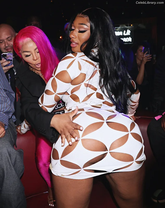 Megan Thee Stallion photo 10 of 1985