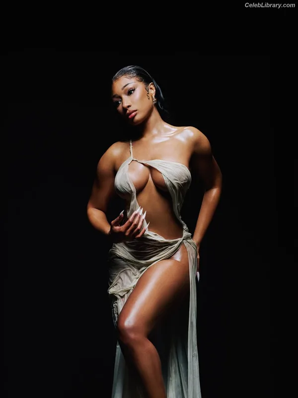 Megan Thee Stallion photo 14 of 1985