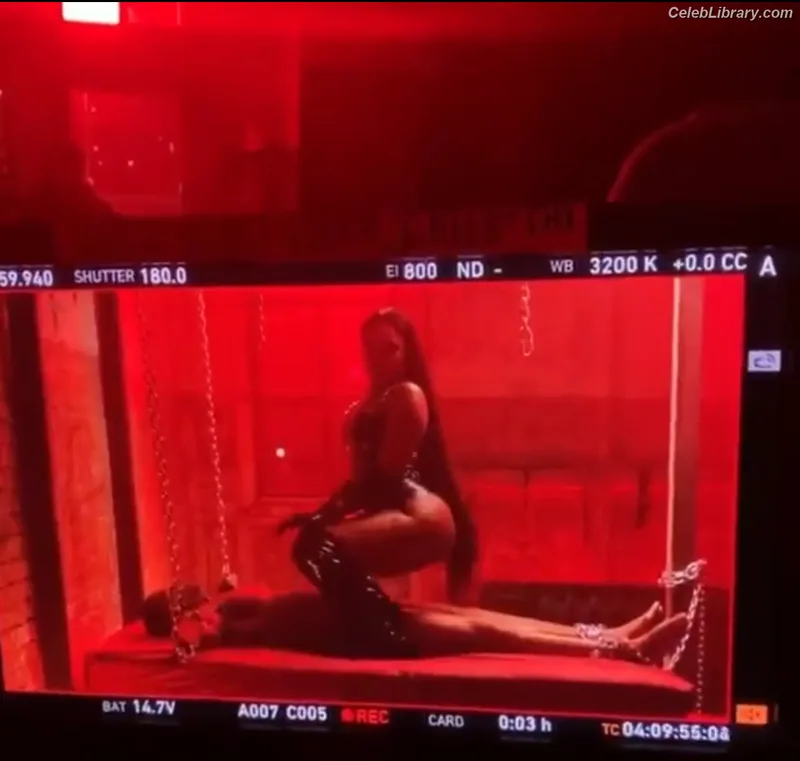 Megan Thee Stallion photo 6 of 1985