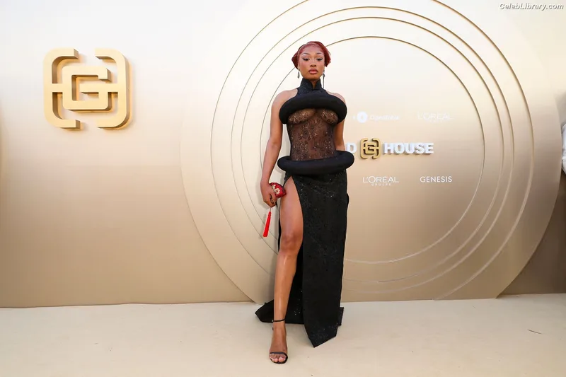 Megan Thee Stallion photo 15 of 1985