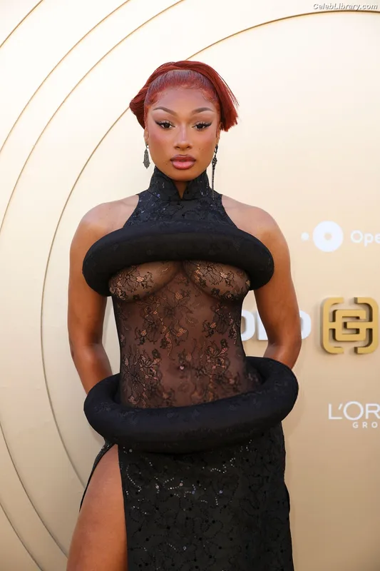 Megan Thee Stallion photo 19 of 1985