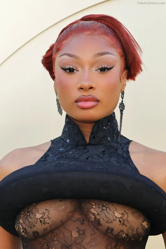 Megan Thee Stallion photo 3 of 1985