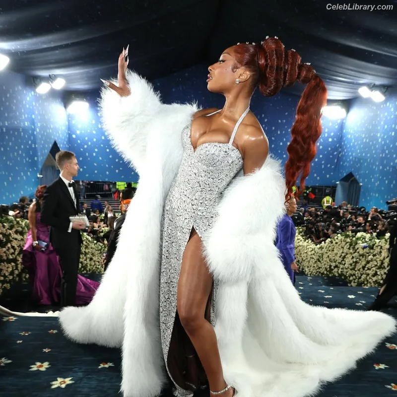 Megan Thee Stallion photo 12 of 1985