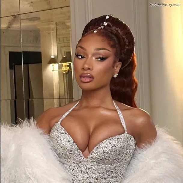 Megan Thee Stallion photo 14 of 1985