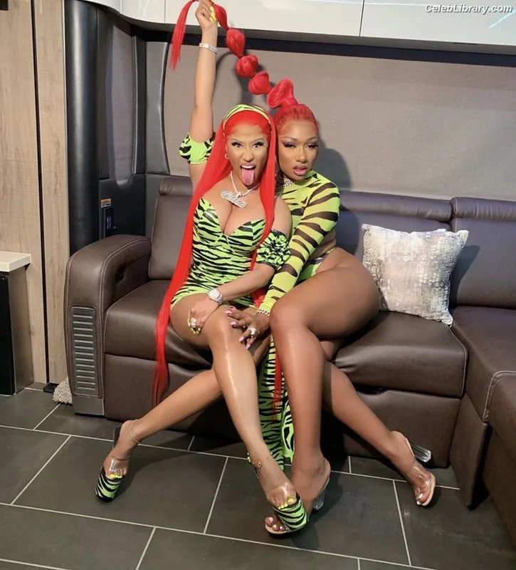 Megan Thee Stallion photo 18 of 1985