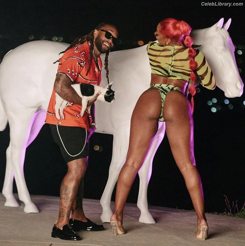 Megan Thee Stallion photo 19 of 1985