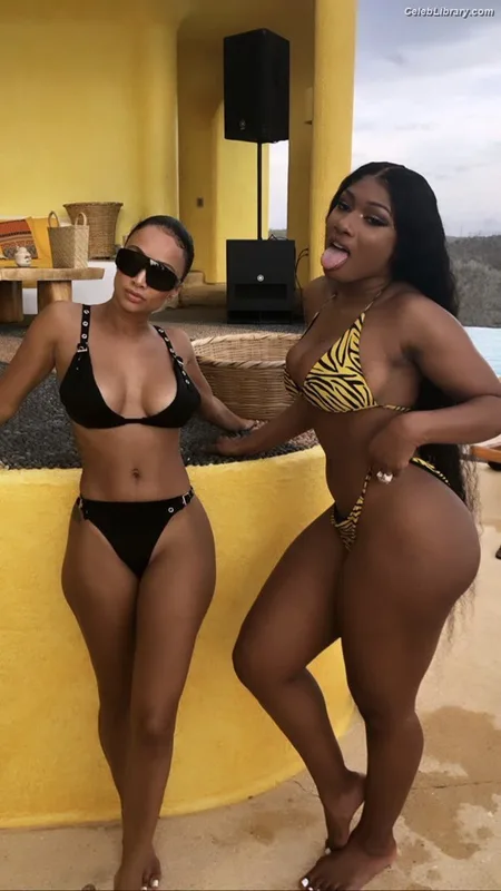 Megan Thee Stallion photo 20 of 1985