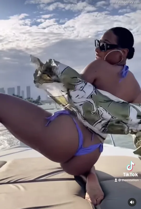 Megan Thee Stallion photo 1 of 1985