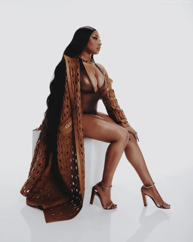 Megan Thee Stallion photo 2 of 1985