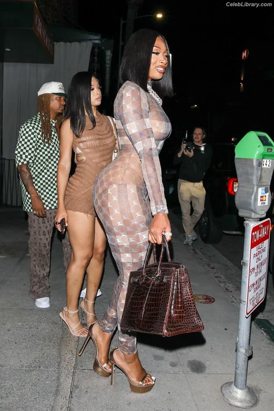 Megan Thee Stallion photo 10 of 1985