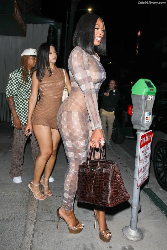 Megan Thee Stallion photo 11 of 1985