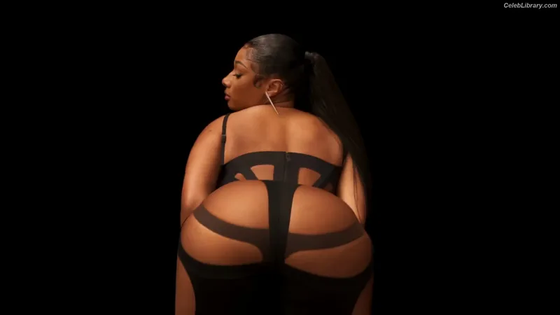 Megan Thee Stallion photo 5 of 1985