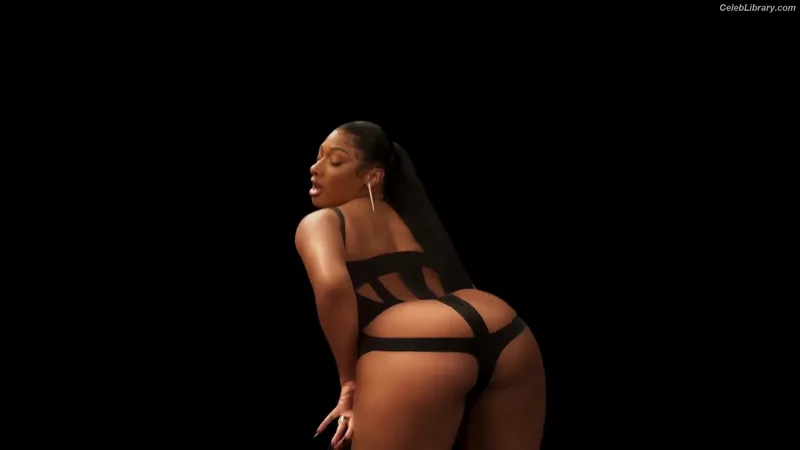Megan Thee Stallion photo 21 of 1985