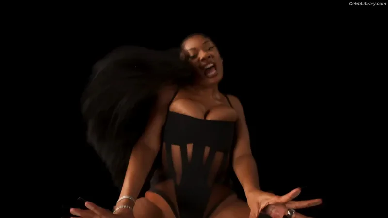 Megan Thee Stallion photo 22 of 1985