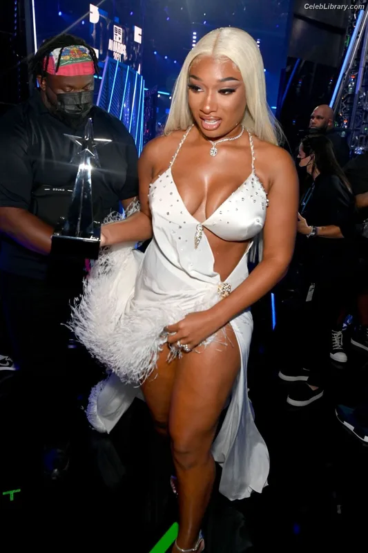 Megan Thee Stallion photo 1 of 1985