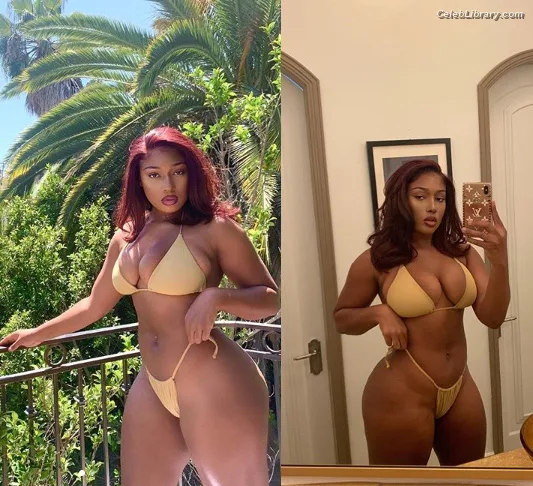 Megan Thee Stallion photo 14 of 1985