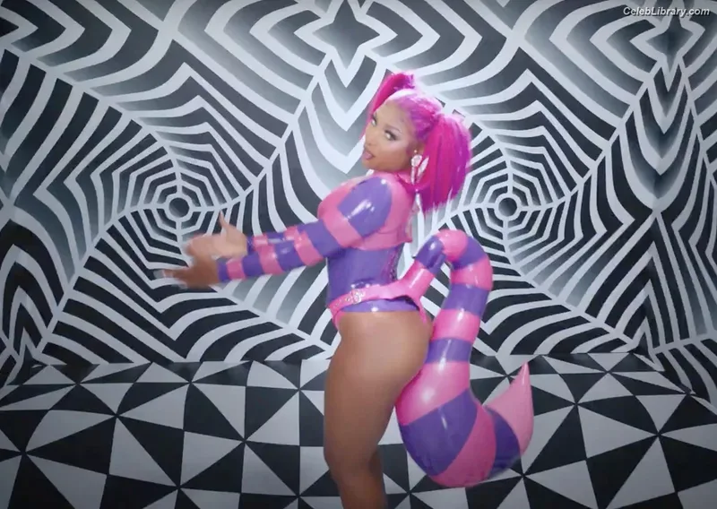 Megan Thee Stallion photo 16 of 1985