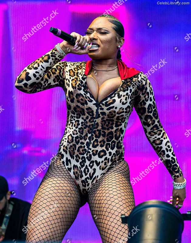 Megan Thee Stallion photo 11 of 1985